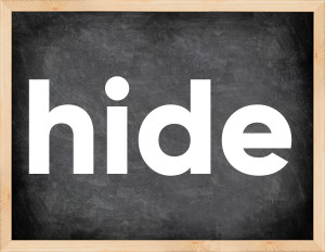 3 forms of the verb hide