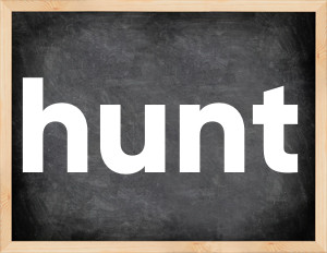 3 forms of the verb hunt