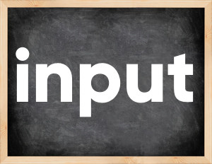 3 forms of the verb input