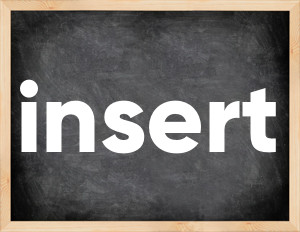 3 forms of the verb insert
