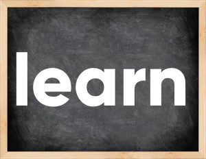 3 forms of the verb learn in English