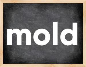 3 forms of the verb mold