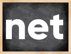 3 forms of the verb net