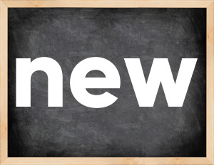 3 forms of the verb new