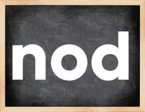 3 forms of the verb nod