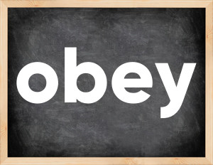 3 forms of the verb obey