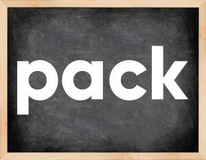3 forms of the verb pack