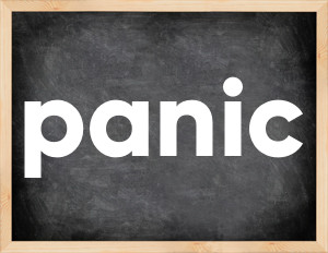 3 forms of the verb panic