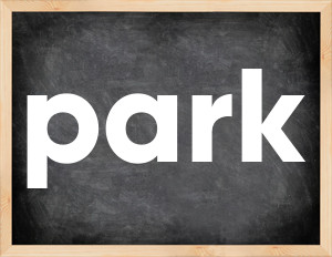 3 forms of the verb park
