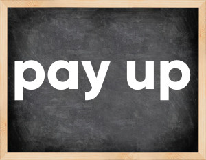 3 forms of the verb pay up