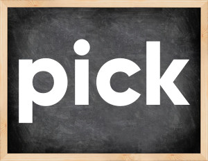 3 forms of the verb pick