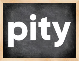 3 forms of the verb pity