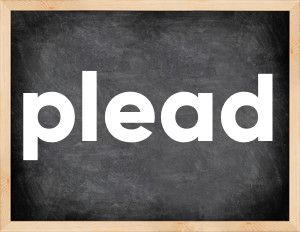 3 forms of the verb plead