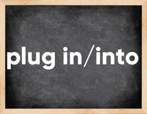 3 forms of the verb plug in/into
