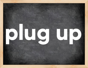 3 forms of the verb plug up