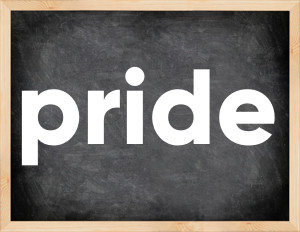 3 forms of the verb pride