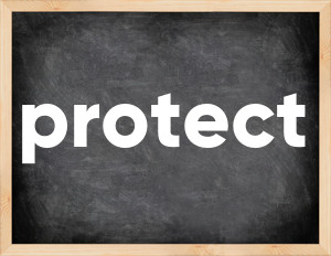 3 forms of the verb protect