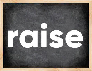 3 forms of the verb raise