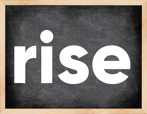 3 forms of the verb rise