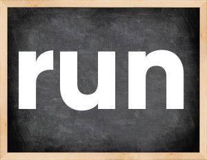 3 forms of the verb run