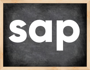 3 forms of the verb sap