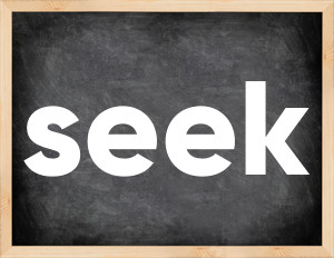 3 forms of the verb seek
