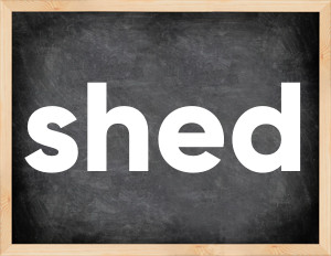 3 forms of the verb shed