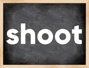 3 forms of the verb shoot