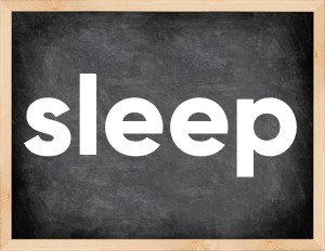 3 forms of the verb sleep