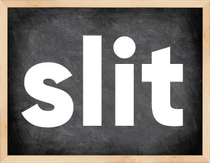 3 forms of the verb slit