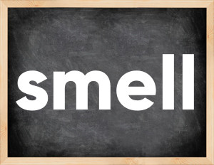 3 forms of the verb smell