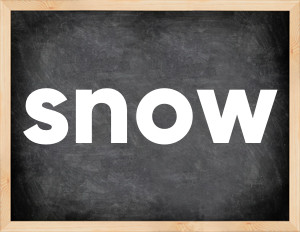 3 forms of the verb snow