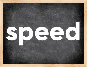 3 forms of the verb speed