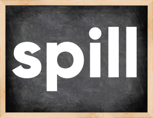 3 forms of the verb spill