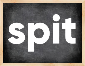 3 forms of the verb spit