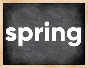 3 forms of the verb spring