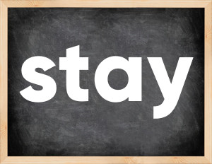 3 forms of the verb stay