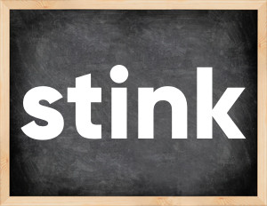 3 forms of the verb stink