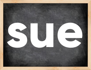3 forms of the verb sue