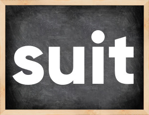 3 forms of the verb suit