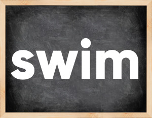 3 forms of the verb swim
