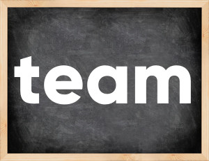 3 forms of the verb team