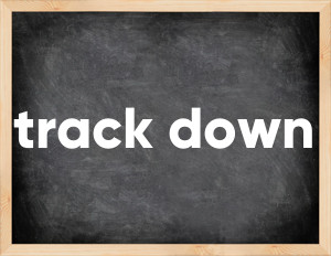 3 forms of the verb track down