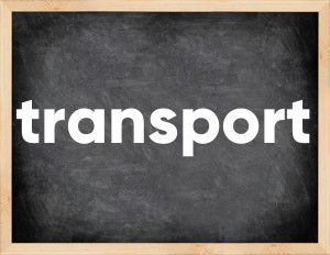 3 forms of the verb transport