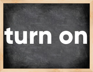 3 forms of the verb turn on in English