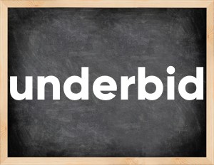 3 forms of the verb underbid