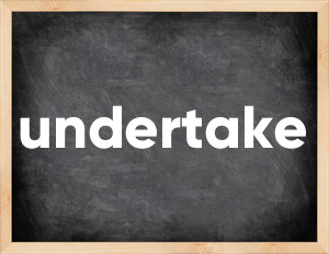 3 forms of the verb undertake