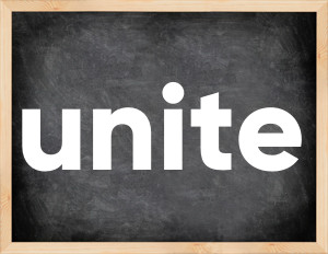 3 forms of the verb unite