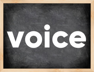 3 forms of the verb voice