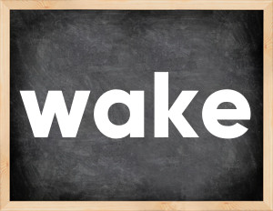 3 forms of the verb wake